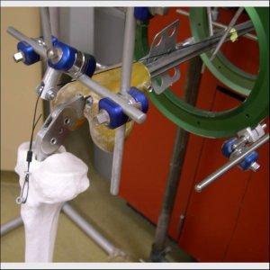 Test Setup for Biomechanics Research of Knee Joint