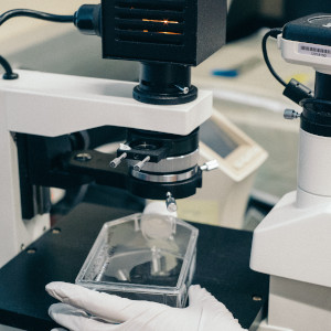Biomedical Industry
